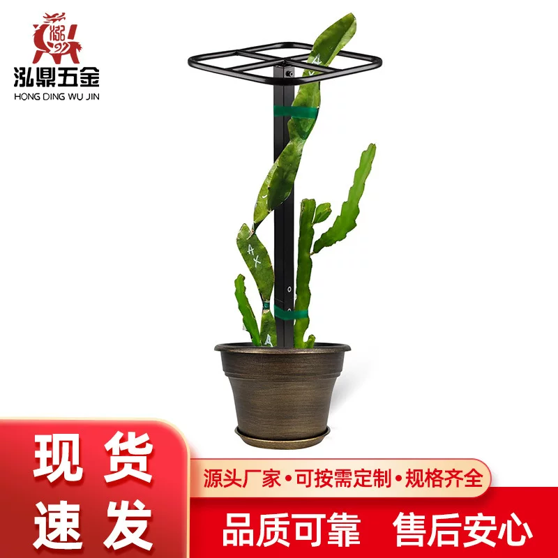 火龙果种植架植物爬藤架温室大棚垂直攀登支架果园农用固定支撑杆