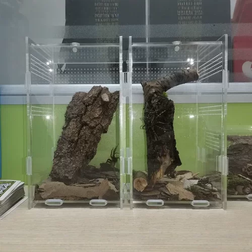 透明亚克力爬宠箱有机玻璃箱桌面收纳盒蜘蛛蝎子甲虫饲养箱观赏盒