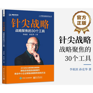 针尖战略 战略聚焦 正版 孙克华 社 战略管理 李祖滨 励志 电子工业出版 30个工具 著 经管 图书