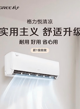 Gree/格力挂机空调悦清凉大1匹1.5P新一级能效变频冷暖家用壁挂式
