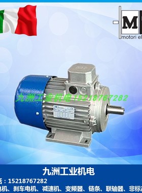 意大利MT电机TN63B4 71B4 80B4 90L4 TFP100B4 TFP112B4 132MB4