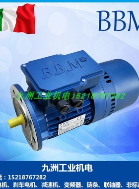 BBM刹车电机REBM63B4 71B4 80B4 90L4 100LA4 112M4 132MA4抱闸电