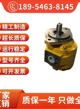 新款CBG1032-A1L-25??泵 1032 1045 1020 3100 3125  ??现货