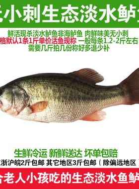 淡水鱼生态淡水鲈鱼500g淡水产品新鲜河鲈鱼鲜活鱼现杀非海鲈鱼