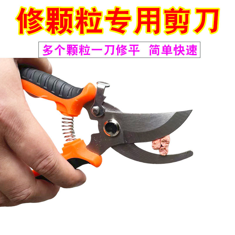 不锈钢大物颗粒螺丝修剪专用锋利钓鱼配件摘果剪枝多功能园艺剪刀