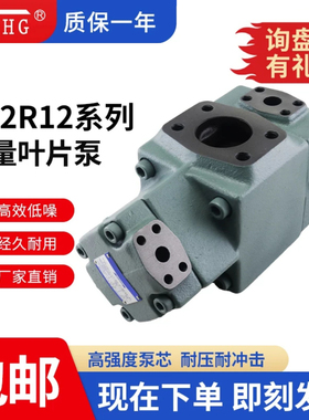 定量泵PV2R12-25-33/41/47-F-REAA-41双联叶片泵注塑机液压油泵