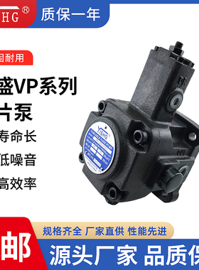 VP-08/12/15/20/30/35/40/45-FA3油泵VP-2020/3030变量液压叶片泵