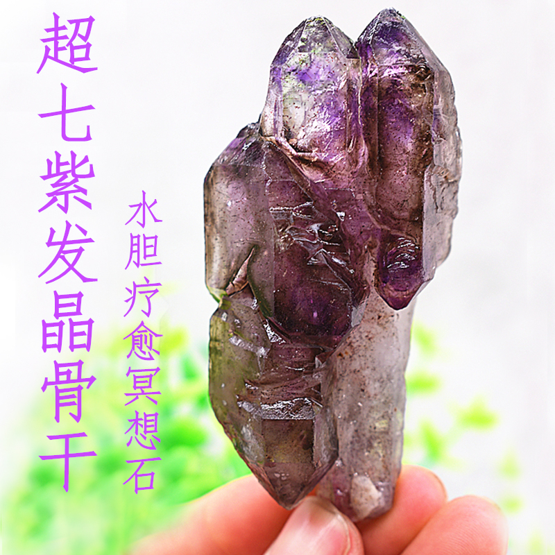 骸骨骨干价格 骸骨骨干图片 星期三