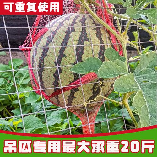 超厚网袋装活禽专用网带绳子