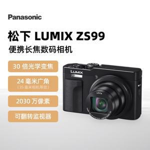 出租LUMIX松下 ZS99演唱会神器长焦相机旅游相机出租免押金