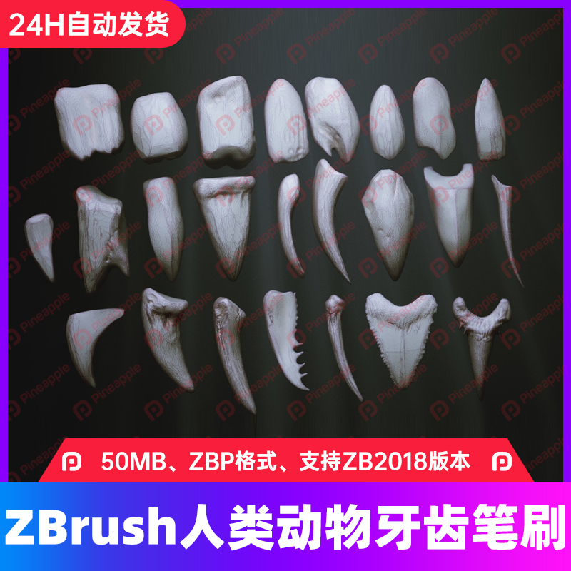 zbrush人类怪兽动物24种牙齿骨头IMMZB笔刷3D游戏模型zb雕刻素材