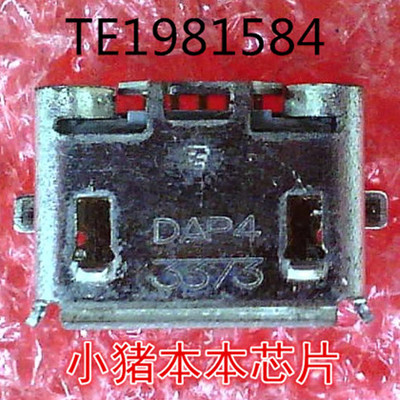 TE1981584    1981584-1   新的