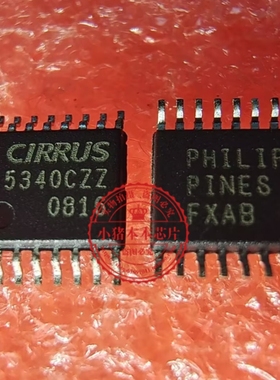 CS5340-CZZ 丝5430CZZ 5430C22 封装SSOP-16 新的  一个起拍