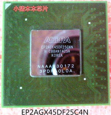 新的一个起拍小猪本本