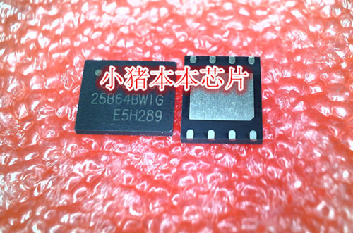 小猪本本集成电路新的一个起拍