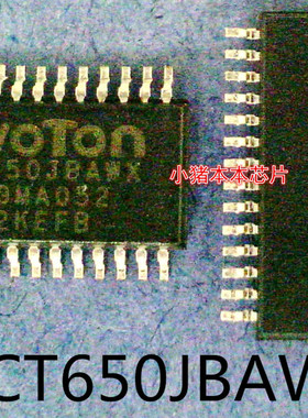 NPCT650JBAWX   NPCT650J8AWX   NPCT650JBAMX    TSSOP封装新的