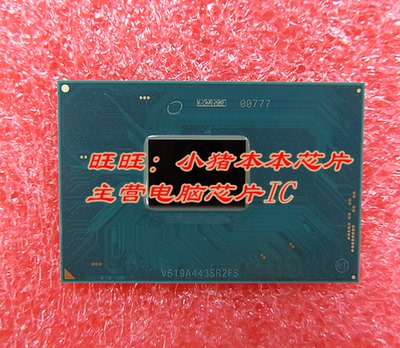 新的一个起拍小猪本本