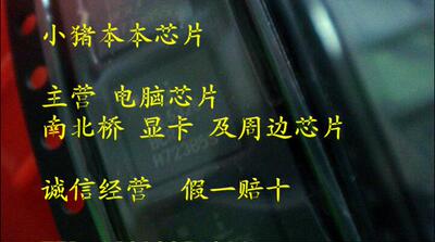 集成电路X810480-004新的