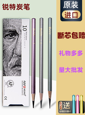 锐特 炭笔奥地利MIJNO素描软碳笔美术生专用速写铅笔rt软碳黑画笔