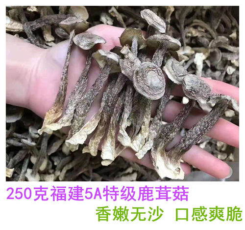 鹿茸菇 鹿茸菌特级干货 250g包邮福建正宗鹿茸菇菌煲汤新鲜食用菌
