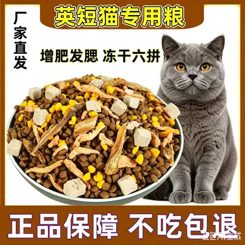 英短专用全价营养猫粮10斤装成猫幼猫通用增大包装通用型24满月后