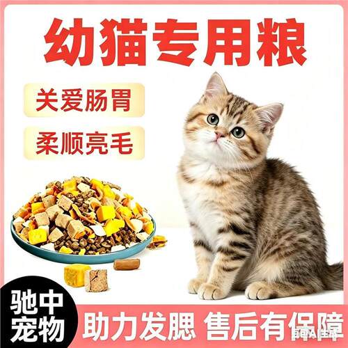 鲜肉幼猫猫粮1到12个月猫粮食0-6猫咪猫粮成猫幼猫大包装大小通用