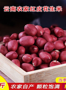 云南农家自产精选小颗粒新红皮花生米新货红衣花生花生米新货5斤