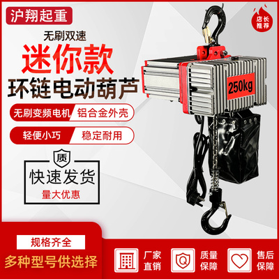 迷你无刷变频环链电动葫芦250kg