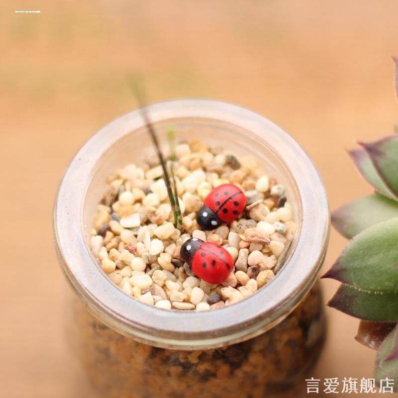 苔藓微景观饰品卡通七星瓢虫DIY组装小摆件摆件迷你版盆景模型