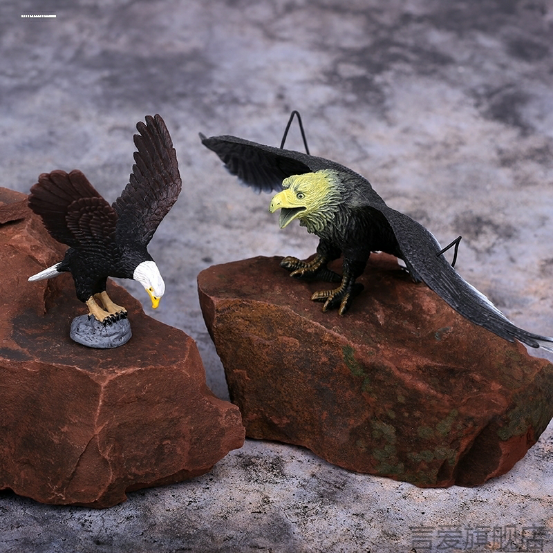 仿真鹰真摆件道具装饰驱鸟老鹰模型标本金雕