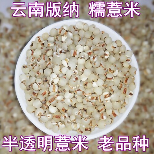 新货云南老品种糯薏米