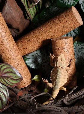 软木爬宠棍攀爬环保饲养箱雨林缸睫角亚宠物专属树蛙造景用软木棒