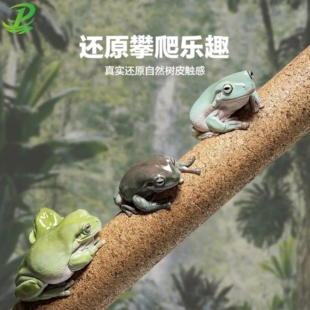 软木攀爬棍饲养箱造景睫角守宫巨人盖勾亚宠物木棍树栖爬宠软木棍