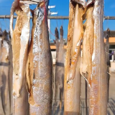 雷达网温州海鲜风干带食用农产品