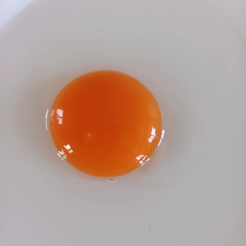 乳山古龙咀富硒海鸭蛋10枚初产蛋鲜蛋