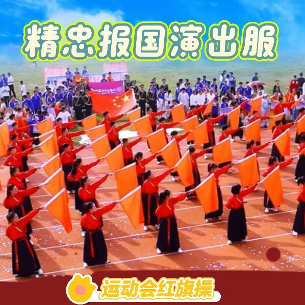 精忠报国演出服小学生运图片