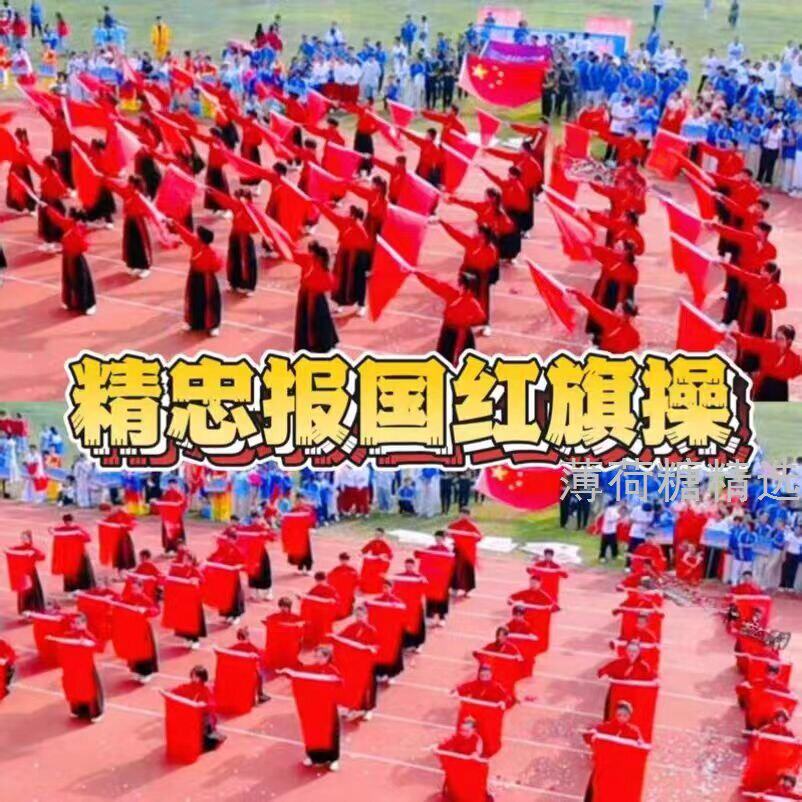 精忠报国红旗操儿童演出图片