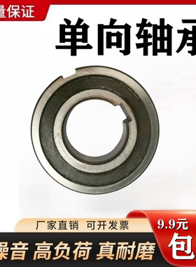 单向轴承CSK12 15 17 20 25 30 35 40 PP 内外带槽