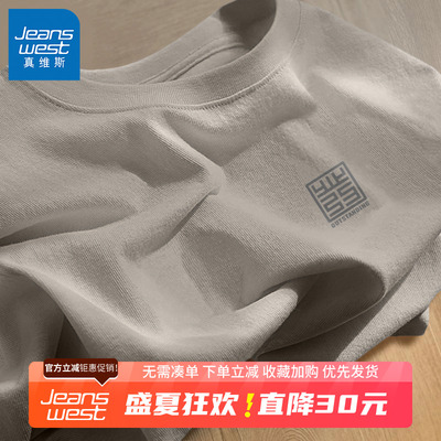 GV真维斯浅灰色纯棉短袖t恤男夏季新款宽松休闲百搭大码国风半袖B