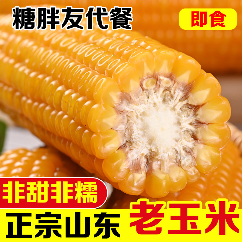 老玉米传统老式笨玉米10根非甜非糯真空即食糖友代餐山东非转基因