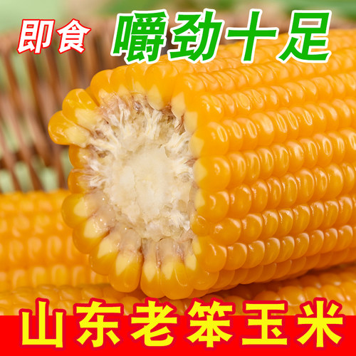 有嚼劲的不甜不糯不黏正宗老玉米