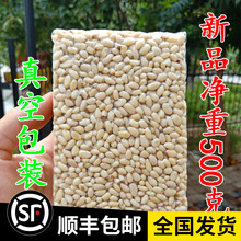 免邮 费 23新货华山原味野生松子仁精品松籽仁非东北长白山红松仁500g