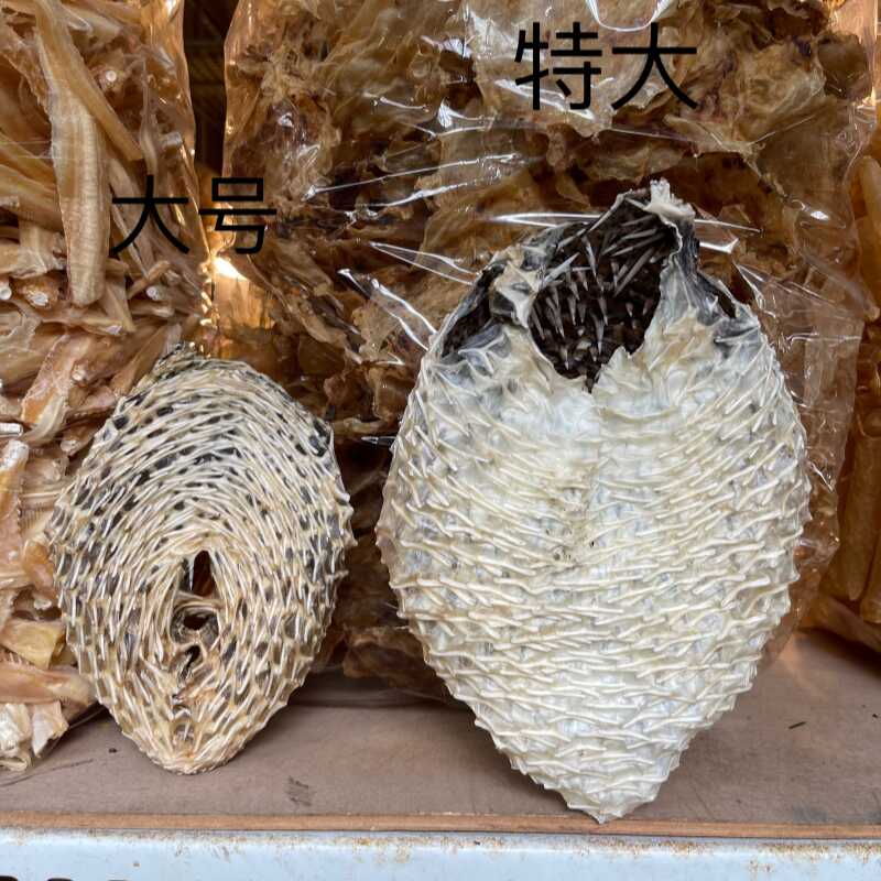 原装淡晒刺龟鱼皮海味干货刺豚鱼刺莆刺鲀气球鱼气鼓鱼二齿鲀刺黾