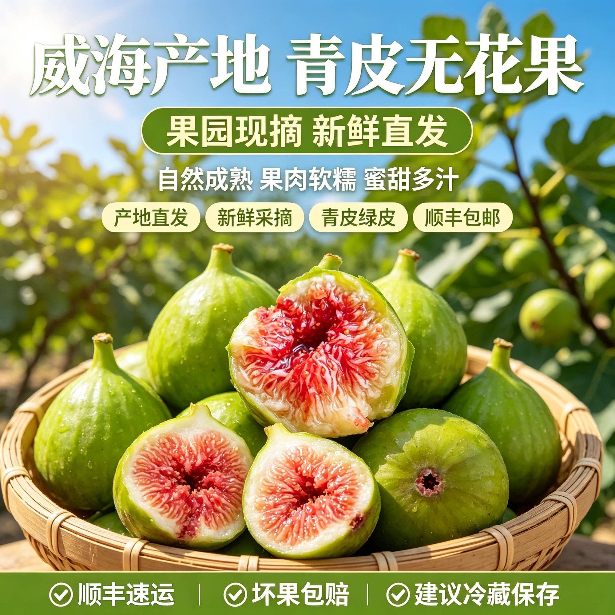 东威海青皮无花果现摘现发糖包子