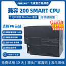 ST40 ST30 SR30 PLC控制器 SR60 CPU 飞凌国产兼容200SMART SR20