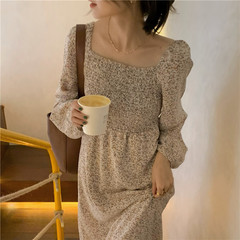 Real price new early spring Korean lightweight and breathable Chiffon Dress