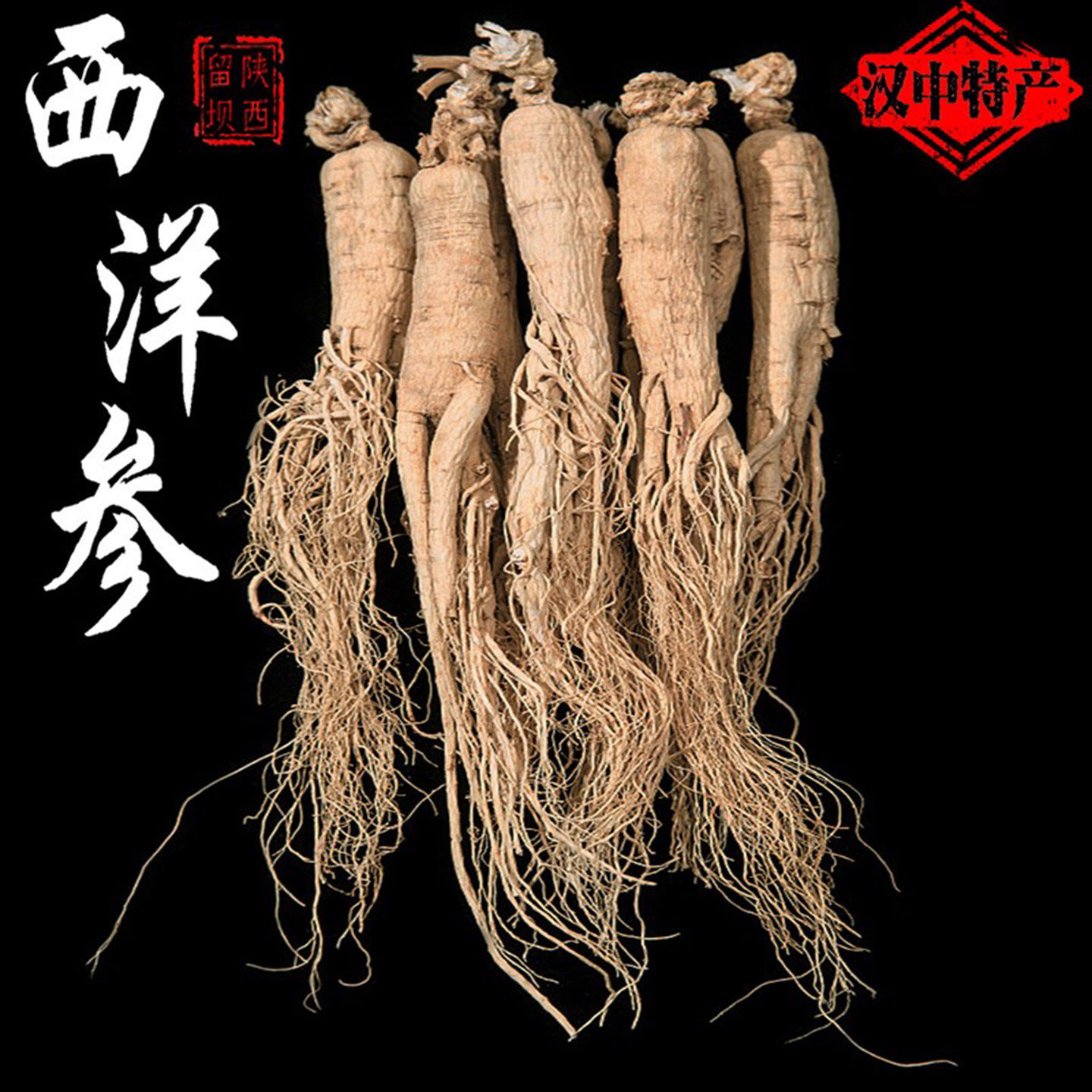 西洋参整枝带须无硫西洋参留坝特产西洋参泡酒煲汤留坝西洋参干货