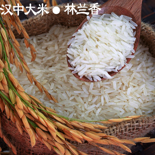 汉中大米林兰香籼米长条米5斤真空包装煮粥蒸饭香软家庭装农家种