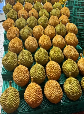 仿真榴莲模型道具装饰用品
