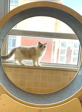 猫跑道垫静音耐抓猫咪跑步机垫子定制猫笼垫猫抓板垫仿剑麻茶几垫